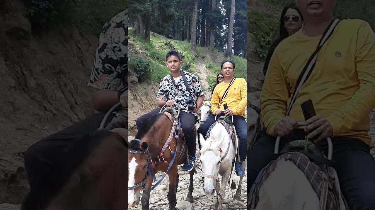 Pahalgam Kashmir Pony Ride