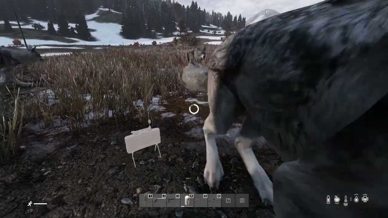 Blowing Up Wolves with Claymore /DayZ/