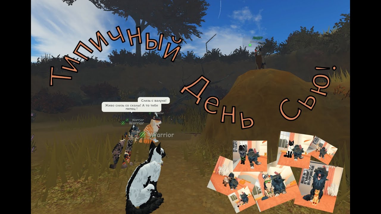ТИПИЧНЫЙ ДЕНЬ СЬЮ В КОТАХ ВОИТЕЛЯХ ROBLOX!