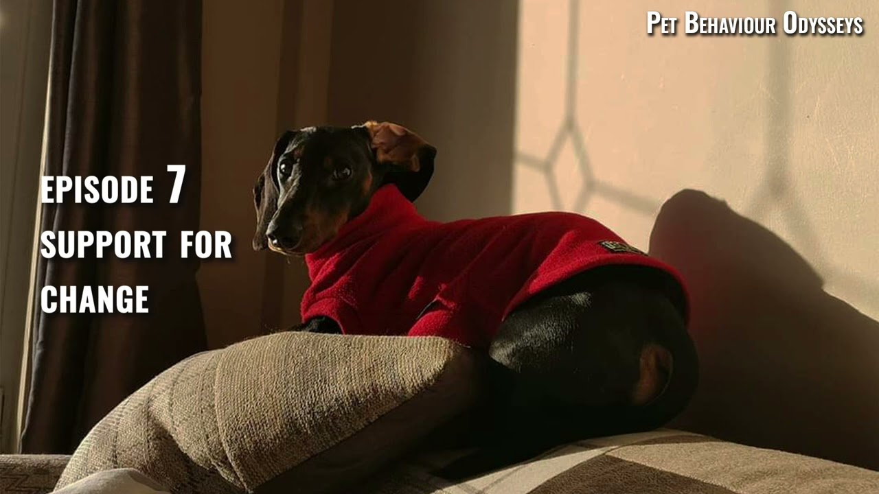 Pet Behaviour Odysseys Episode 7: Support for Change