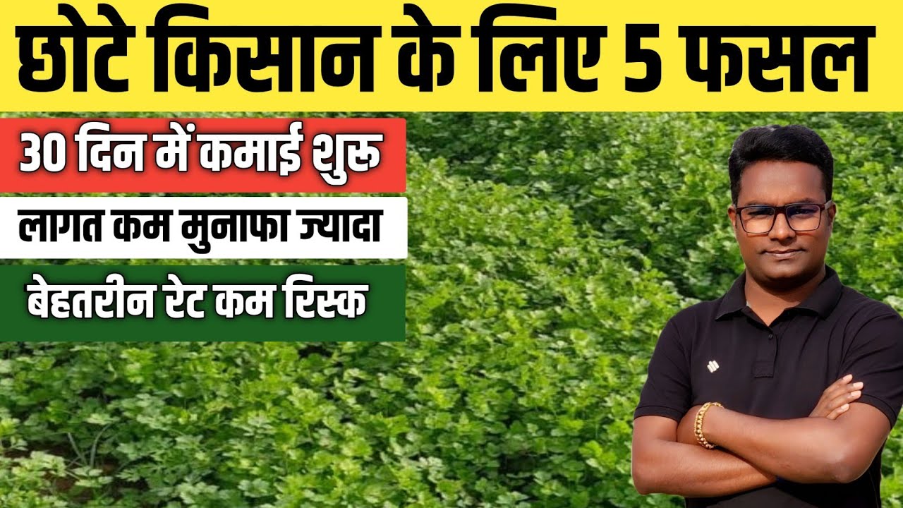 छोटे किसानों के लिए 5 बेहतरीन फसलें । लागत कम मुनाफा ज्यादा 30 दिन में कमाई शुरू Top 5 Crop farmer