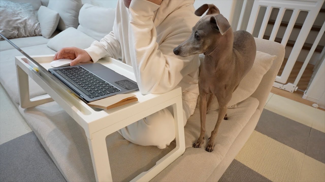 試験勉強に集中するパパに申し訳なさそうにご飯の要求をする愛犬が可愛すぎたwww