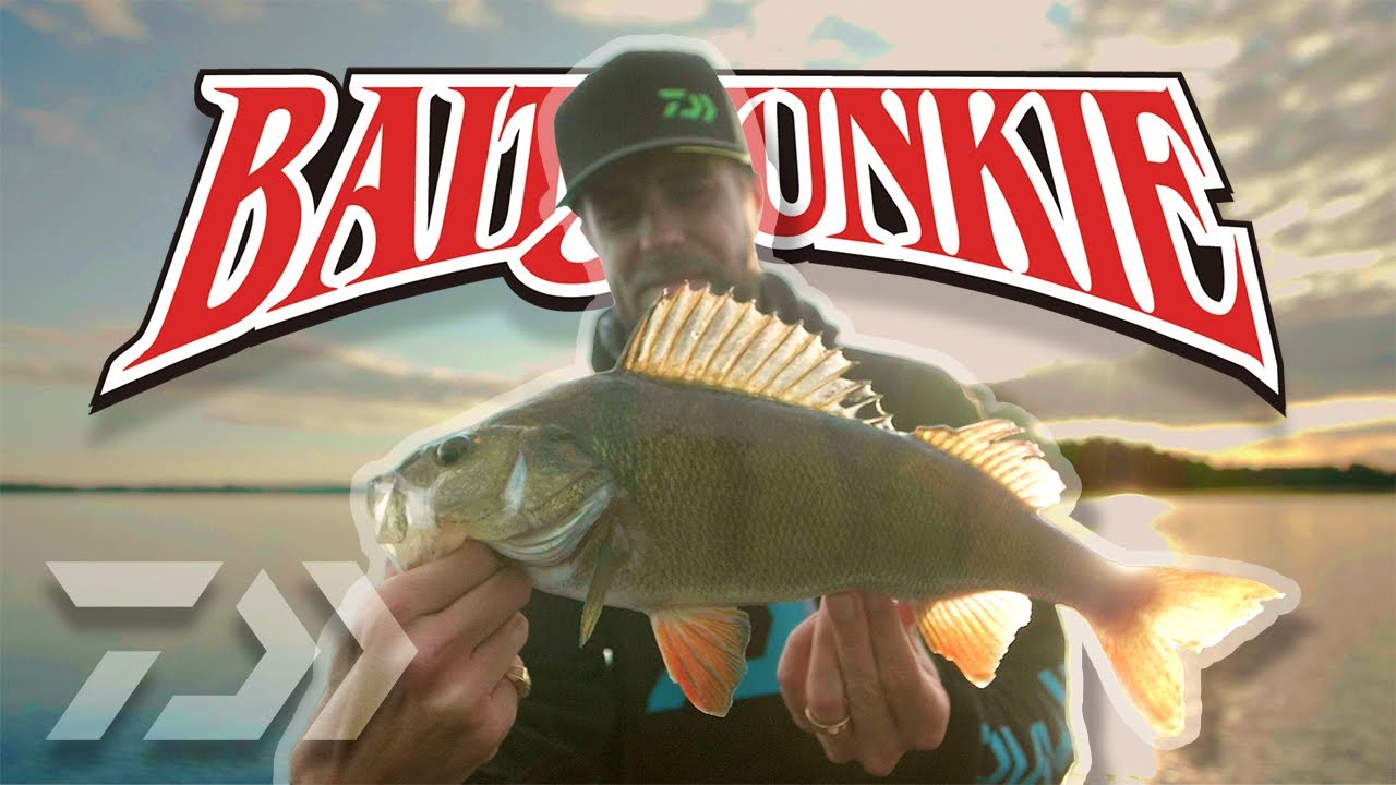 Daiwa BaitJunkie - Lure for all Predators