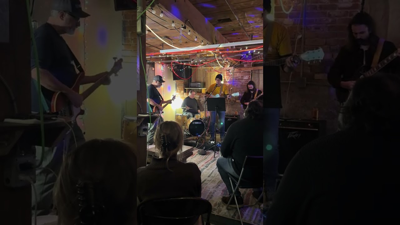hellebores @ the root cellar, Providence RI, 2.12.26 car song
