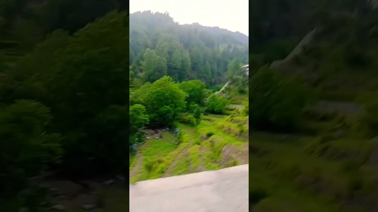 skyland road view🌹#viral #shorts #youtubeshorts #youtube #video