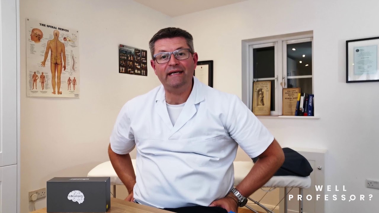 Touchpoints- How To Use Guide by Well Professor