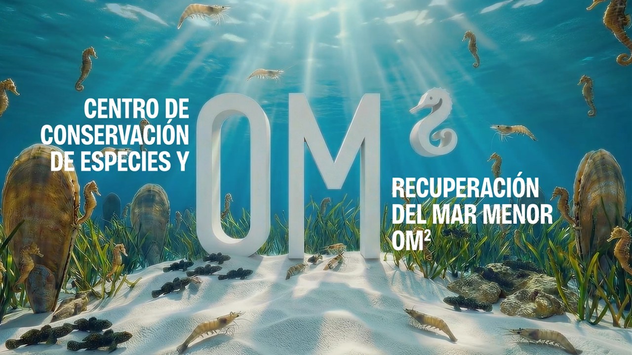 Presentación del proyecto del Centro de Recuperación de Especies del Mar Menor 'OM2'