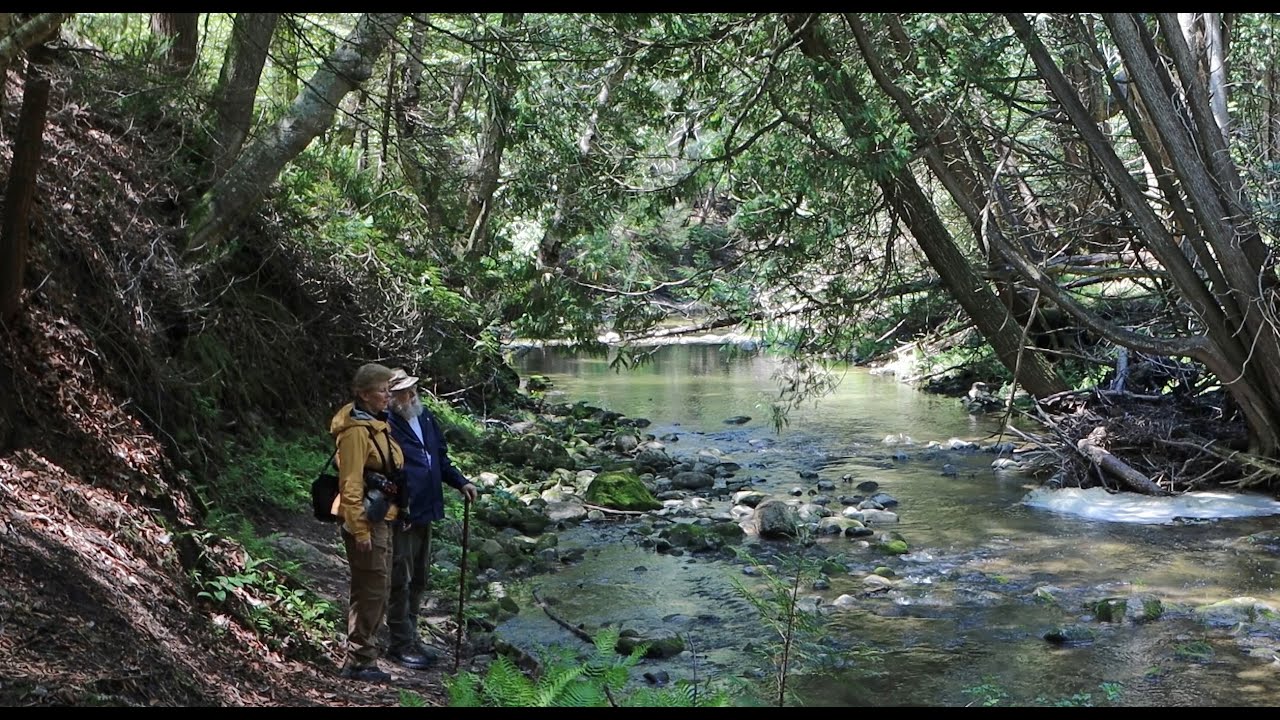 Camping at MacGregor Point - Part 2 - Hiking the Trails at MacGregor Point and Inverhuron Parks
