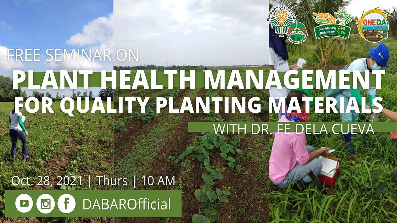 Plant Health Management for Quality Planting Materials