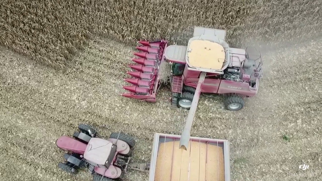 BIG RED COMBINE 🌽 HARVEST IN MO
