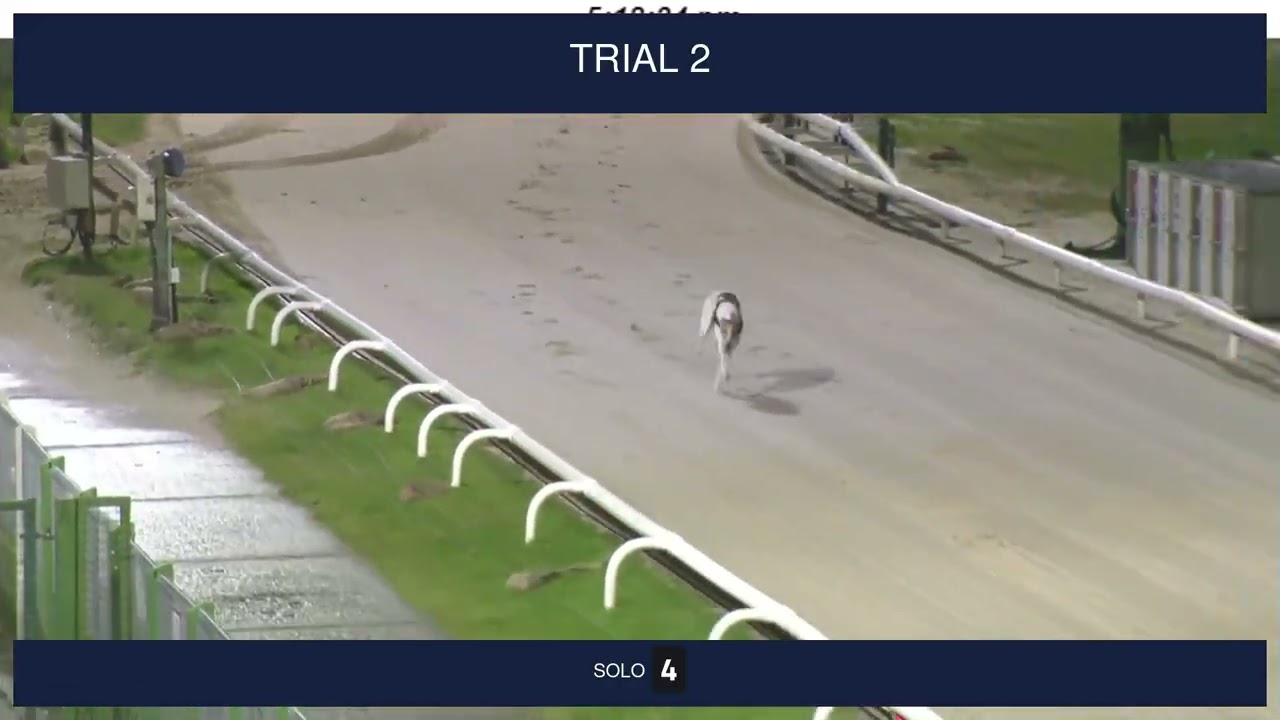 Nottingham Trials on 12th January 2026