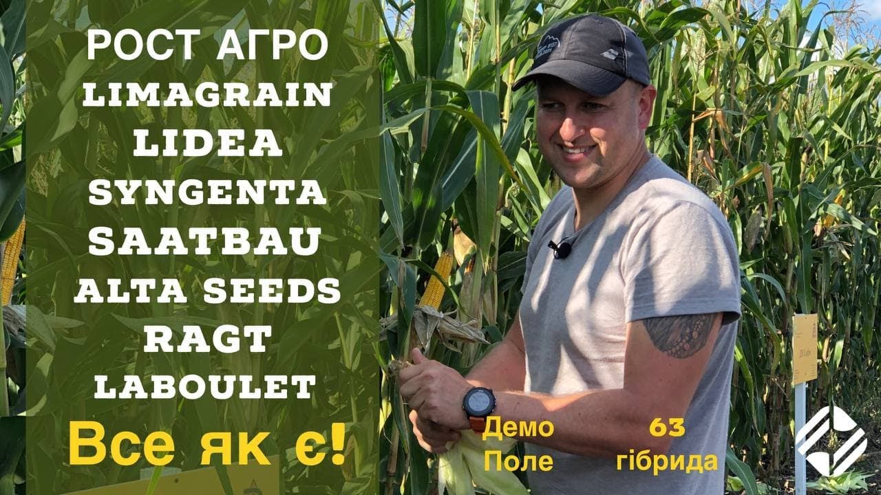Syngenta, Limagrain, Lidea та інші, огляд кукурудзи та соняшника. Демо-поле PlantAgro