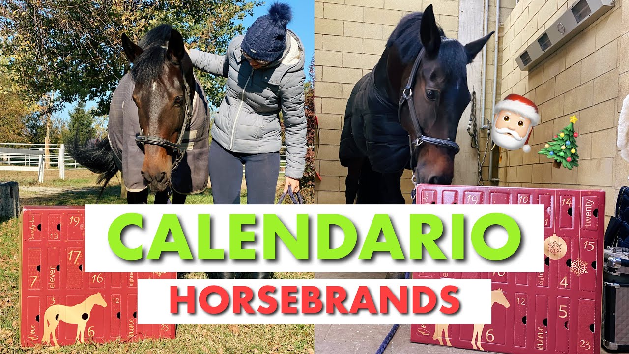 CALENDARIO DELL’AVVENTO HORSEBRANDS 2021😍🐴