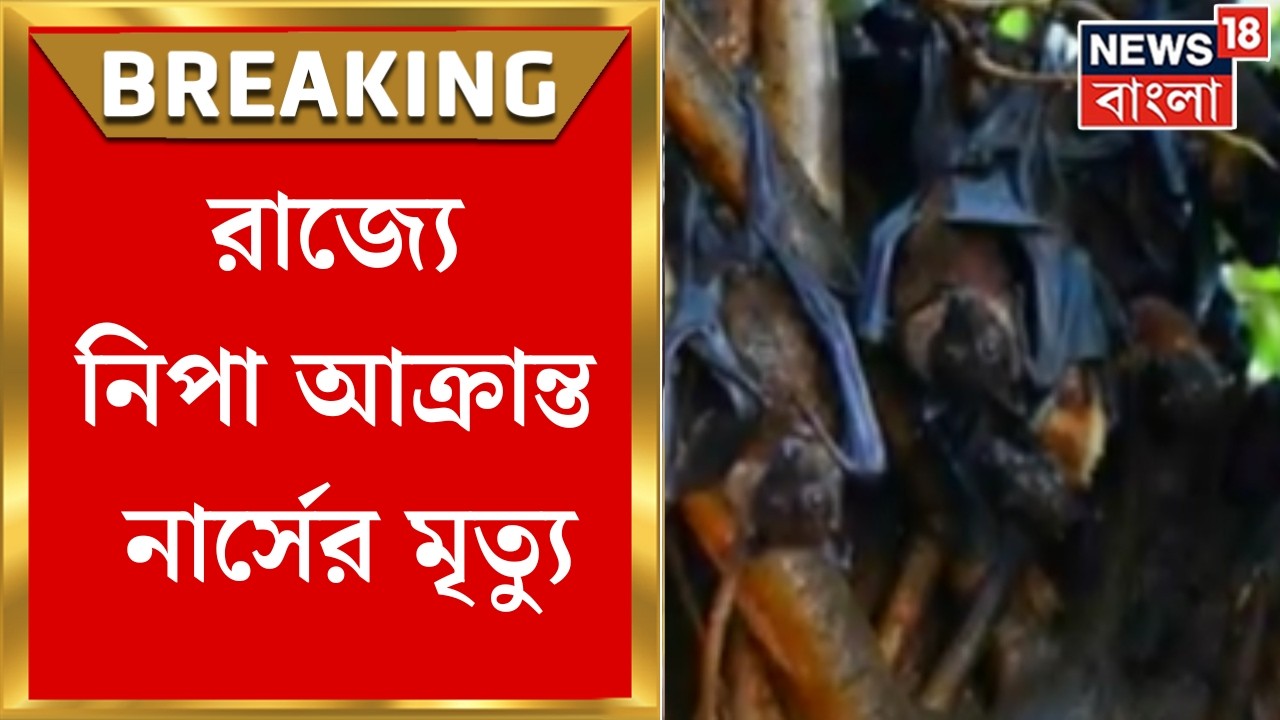 WB Nipah Virus | ফুসফুসে মারাত্মক সংক্রমণ, রাজ্যে নিপা আক্রান্ত নার্সের মৃত্যু | Bangla News