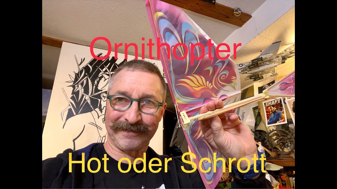 China Ornithopter Hot oder Schrott