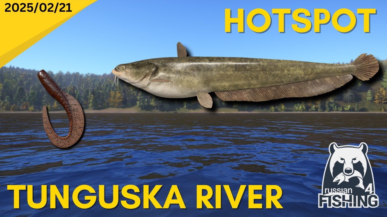 Amur Catfish hotspot - Tunguska RIver - Russian Fishing 4