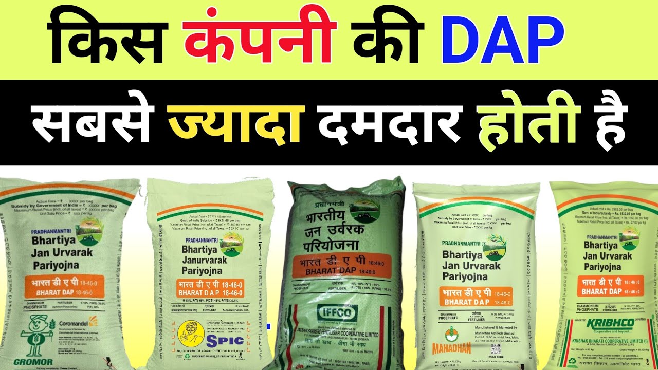 आज देख लीजिये सबसे अच्छी DAP कौन सी है / Sabse achhi DAP kaun si hoti hai / Best DAP kaun si hai