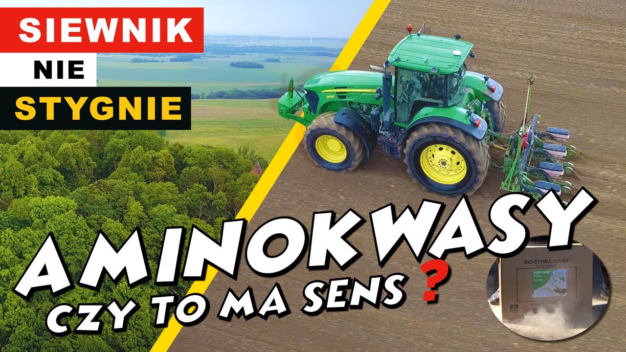 AMINOKWASY - CZY TO MA SENS? ➕ KUKURYDZA W CZERWCU !