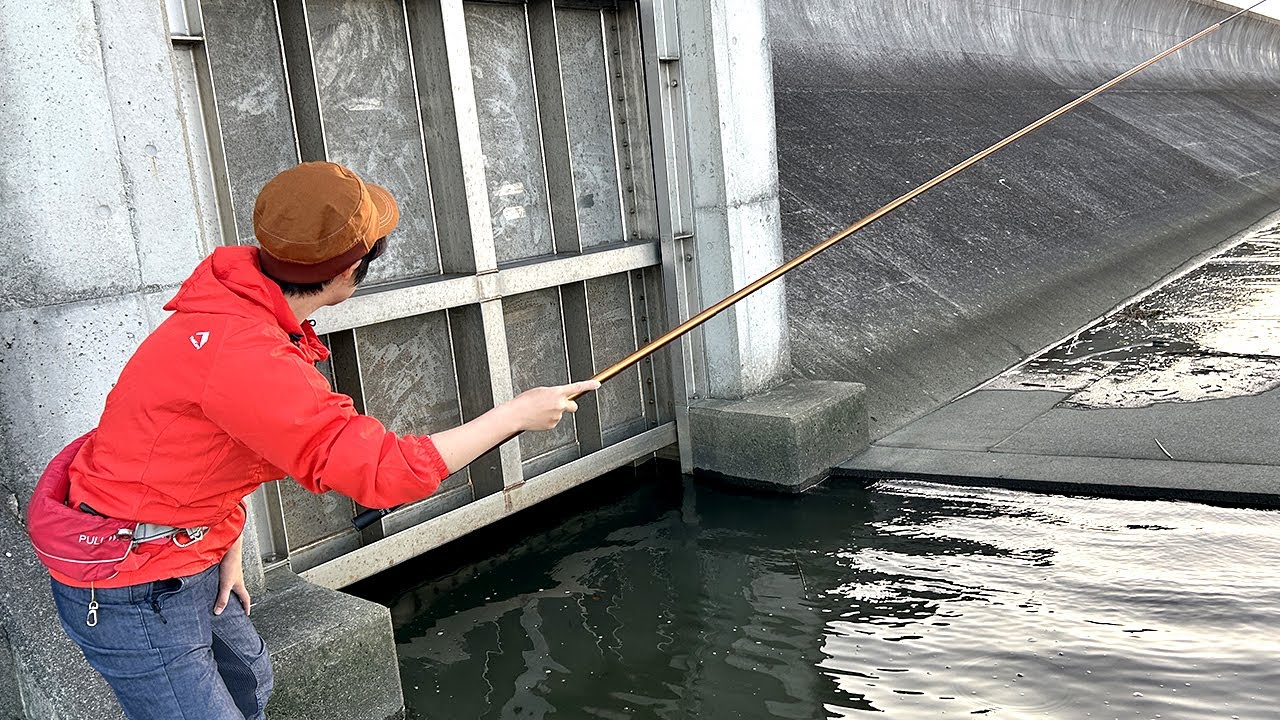 Пока я ловил yellowfin goby, произошло ЧП! Когда я иду туда...