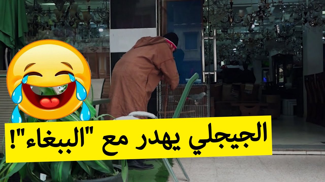 حسين الجيجلي حب يتصور مع "الببغاء" أو دار "السالفي" مع كامل زوايا الحانوت؟ شوفو مول المحل؟!