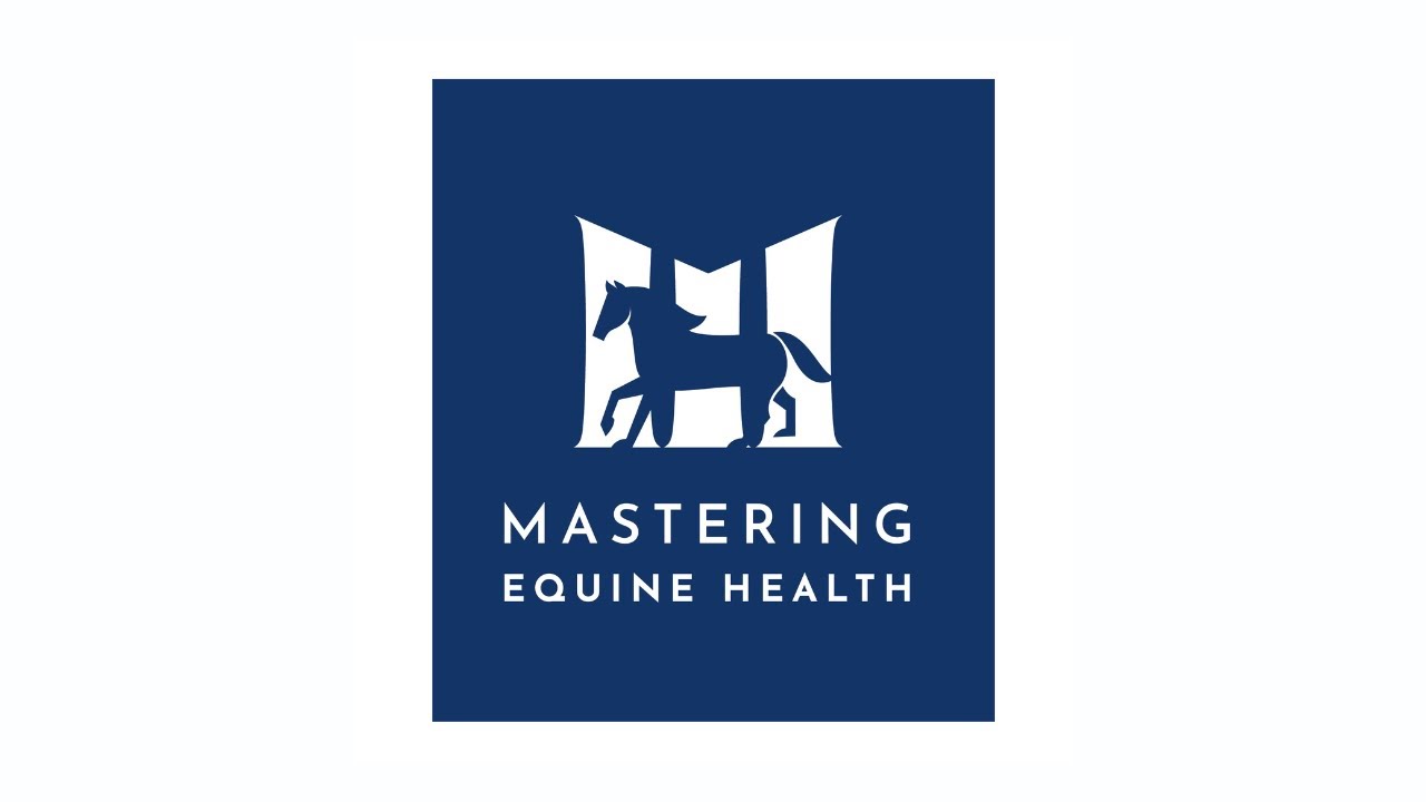 Mastering Equine Health: Respiratory Health