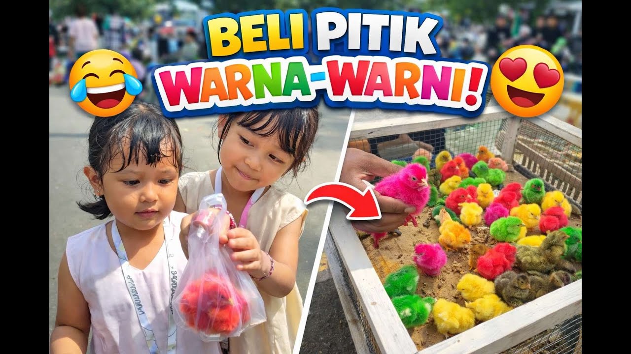 Jalan-Jalan Pagi di GOR! Anak-anak Beli Pitik Warna-Warni 🐥🌈