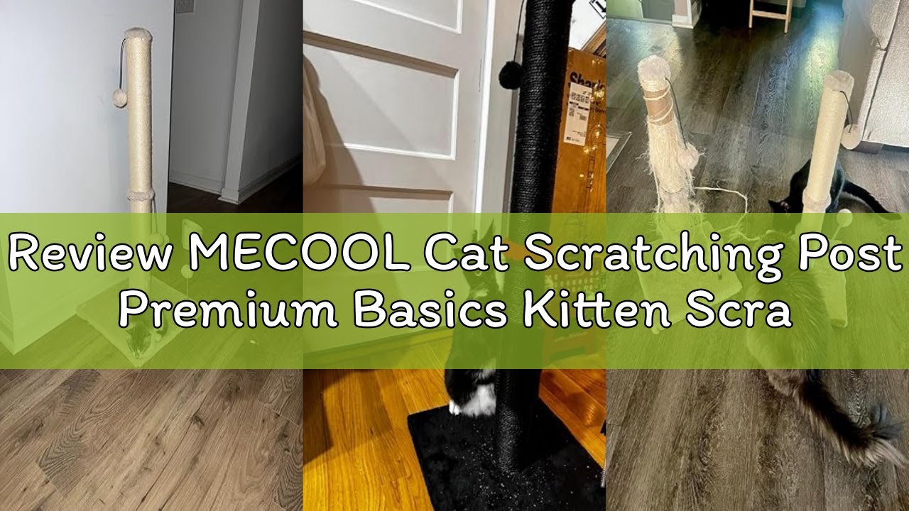 Review MECOOL Cat Scratching Post Premium Basics Kitten Scratcher Sisal Scratch Posts with Hanging B