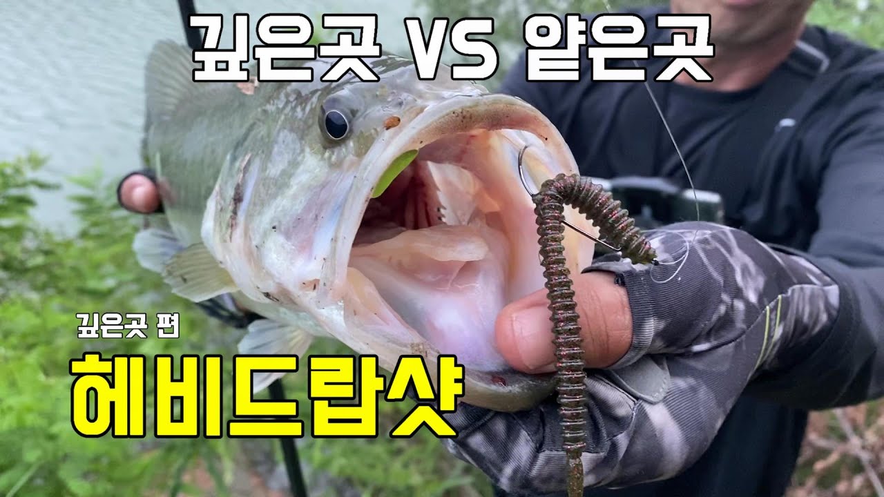 배스낚시
