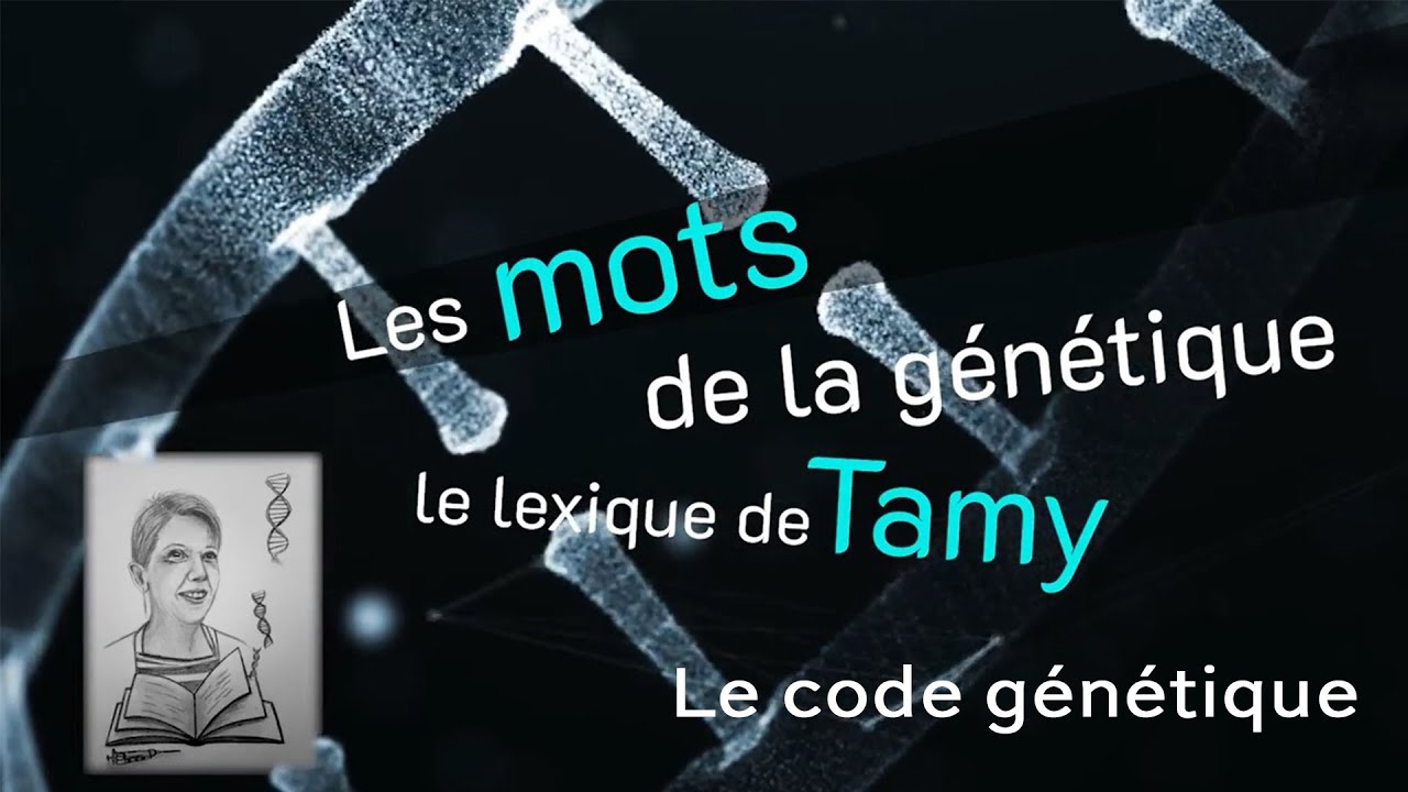 Les mots de la g&eacute;n&eacute;tique : le code g&eacute;n&eacute;tique
