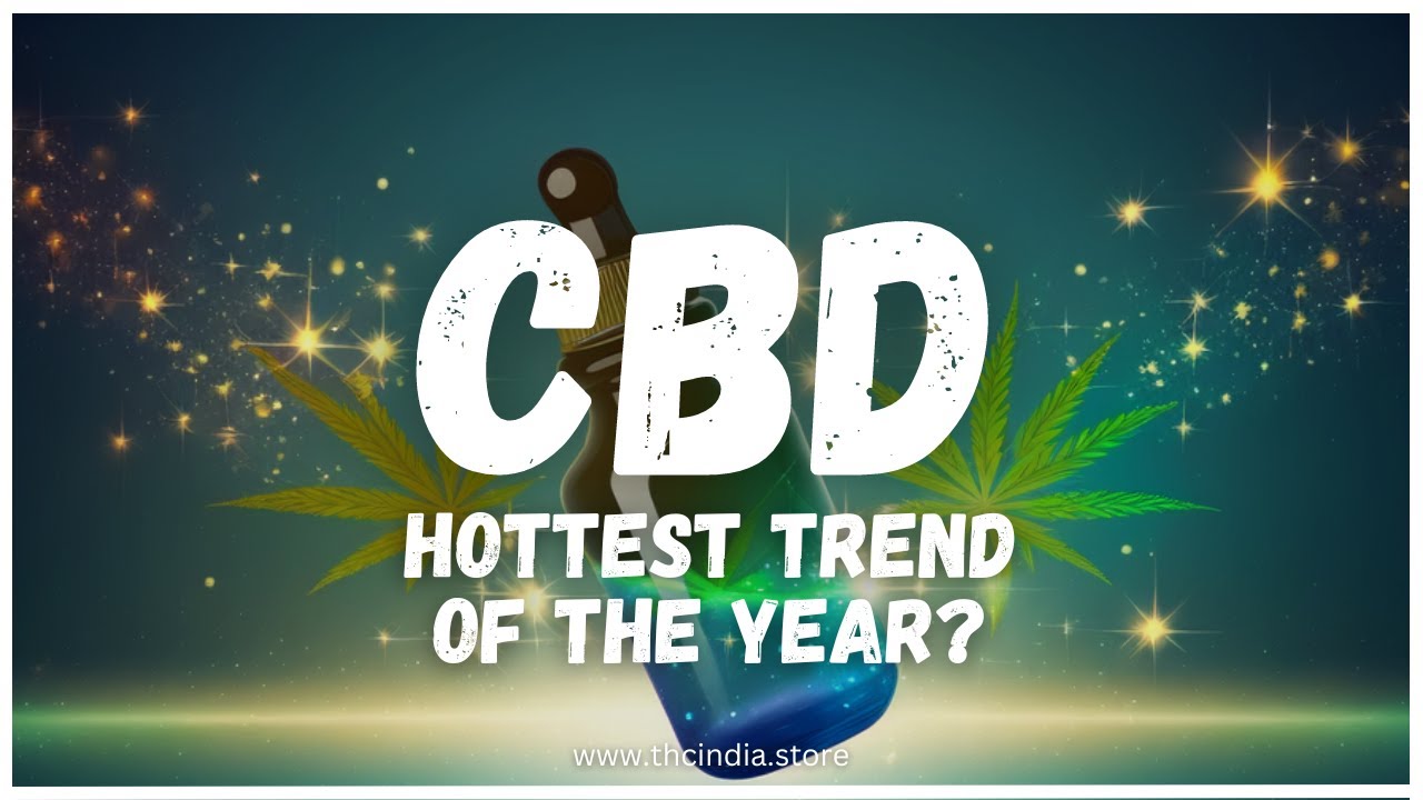 High on Hype: Exploring the CBD Sensation