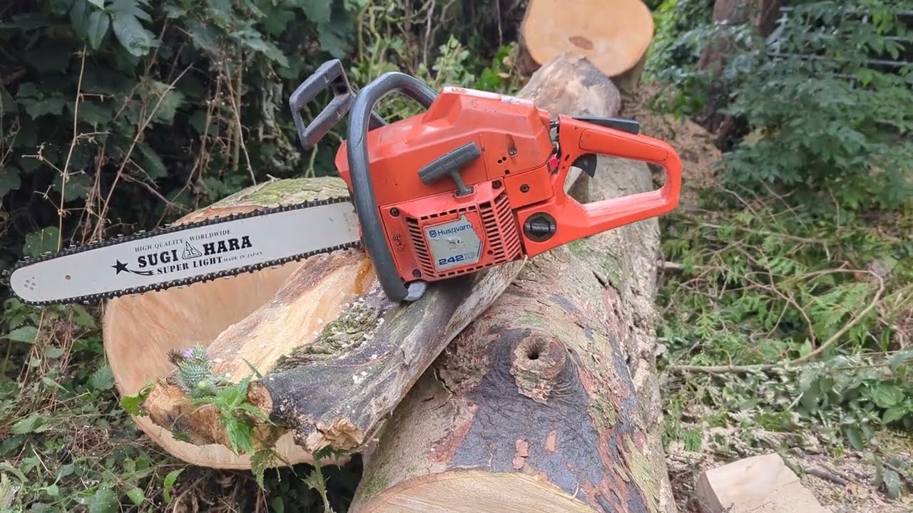 The highest revving husky! 242xp also thrle smallest Professional Husqvarna Chainsaw? Review & cuts!
