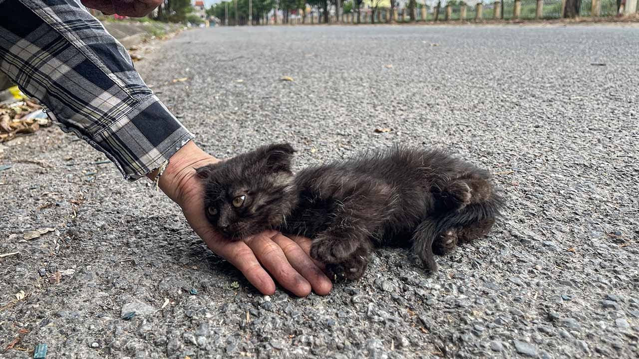 Она никогда не получала любви за всю свою жизнь... Она пришла ко мне и умоляла о помощи.