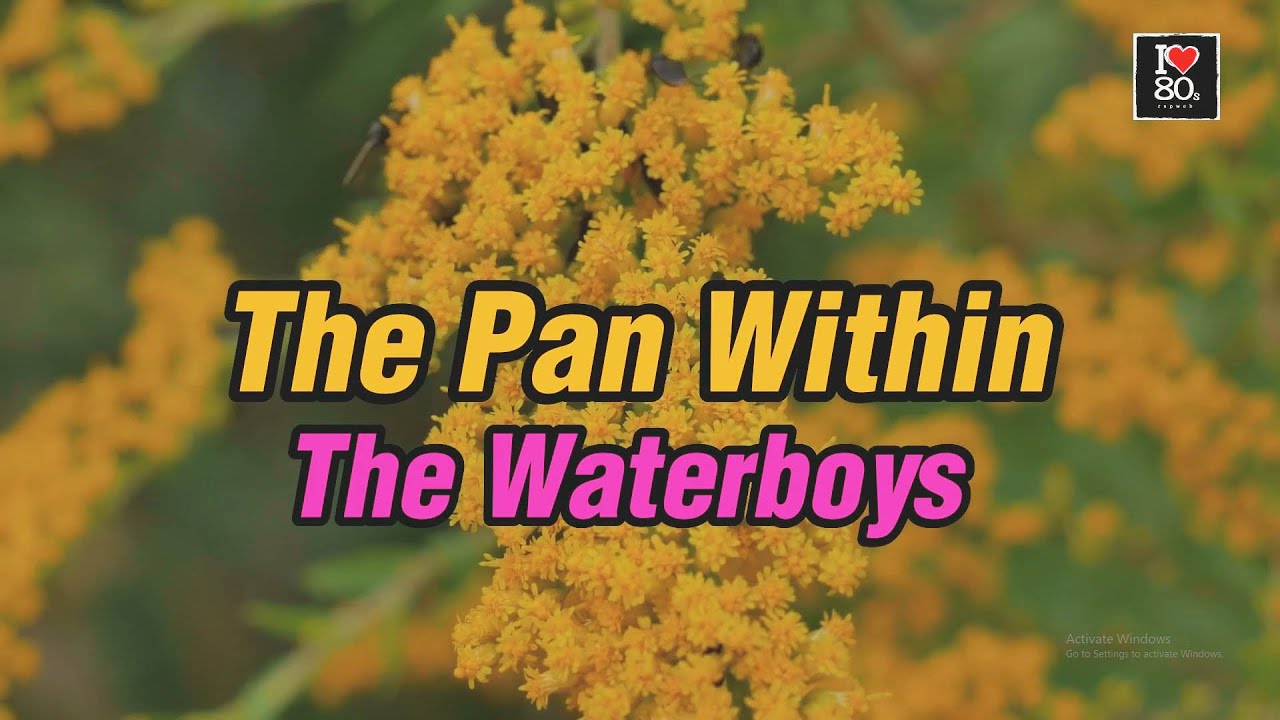 The Waterboys - The Pan Within [Karaoke New Wave HD]