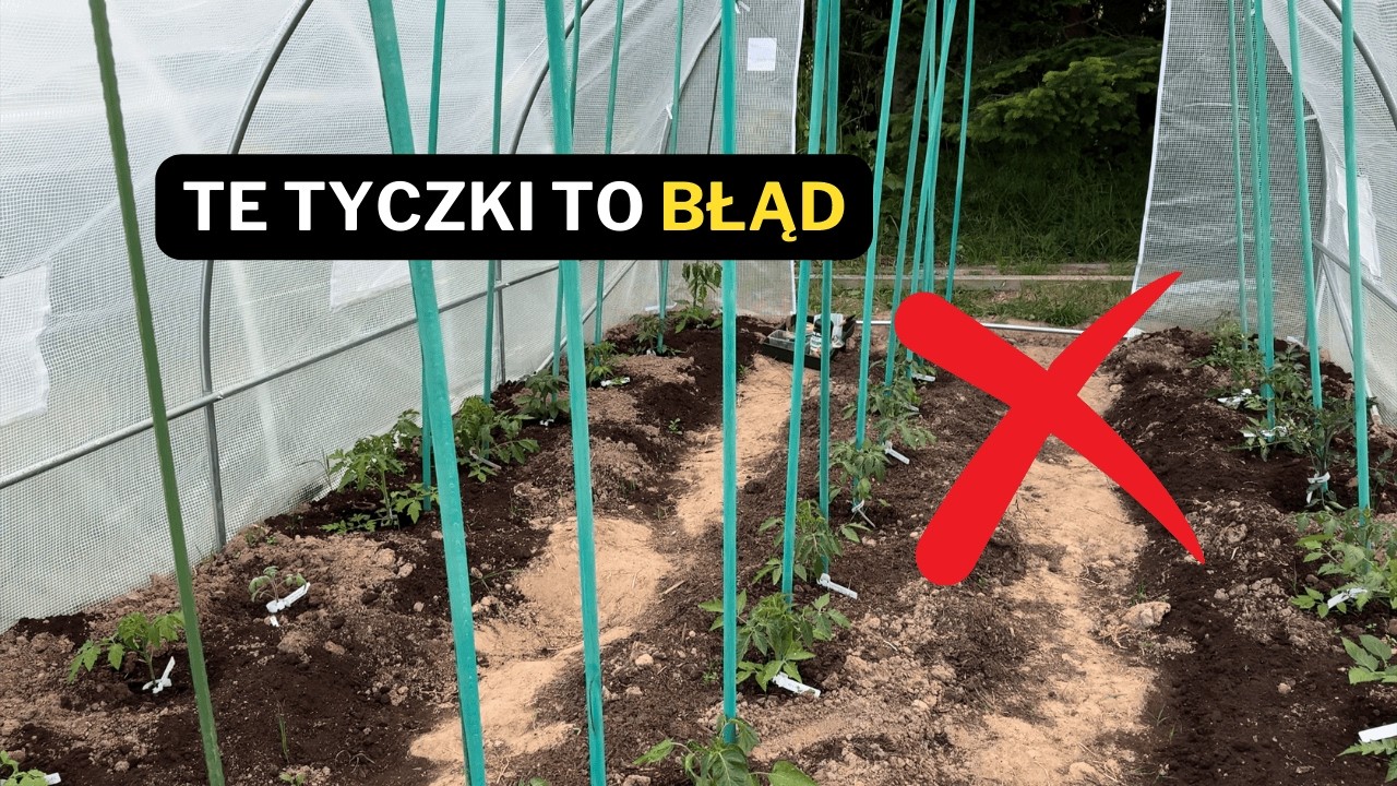 Test drewnianych tyczek - po sezonie wiem jedno: to był błąd ❌