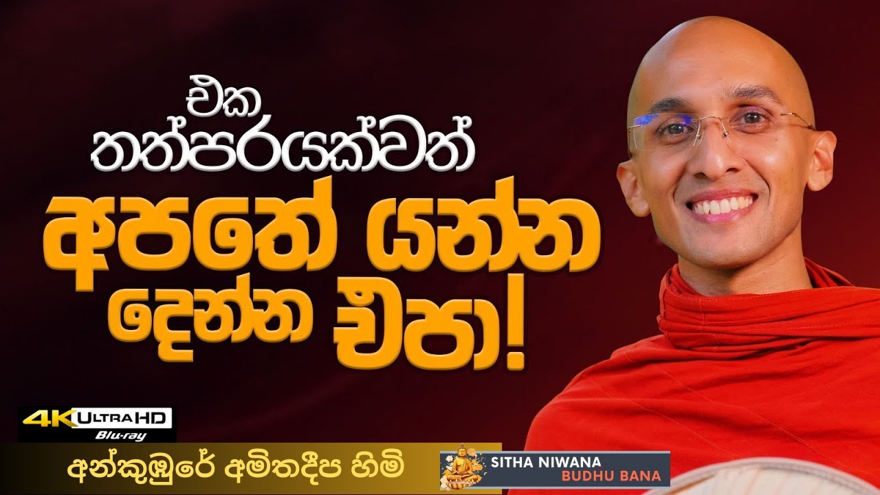 Ankumbure Amithadeepa Himi 2026 New Sinhala Dharma Deshana #mahamevnawa | කාලය අපතේ යවන්න එපා