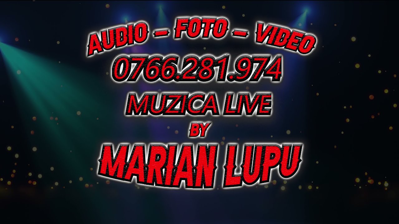 Nicu Abu & Petrica Gherman - Melodii de masa si petrecere