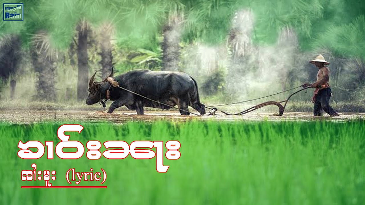 ၸၢႆးမူး ၶၢဝ်းၼႃး