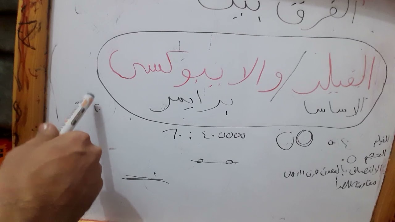epoxy | primer | الفرق بين الفيلر والايبوكسي / امتي ارش السيارة ايبوكسي واساس وواش برايمر /  دهان