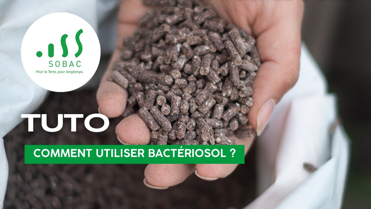 Tuto : comment utiliser BACTÉRIOSOL ?