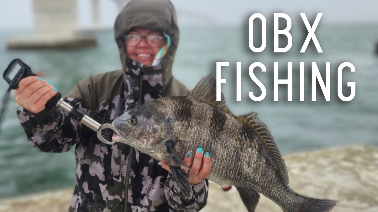 OBX Black Drum Catch, Clean, Cook & Sheepshead Fishing - Oregon Inlet Fishing, NC - Carolina Coast