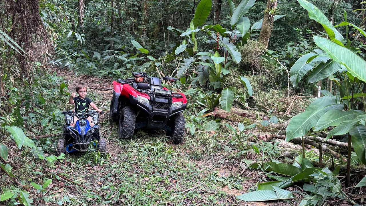 FOMOS NA TRILHA DA ONÇA COM OS QUADRICICLOS E TIRAMOS A ARVORE CAÍDA. Thiago velho 