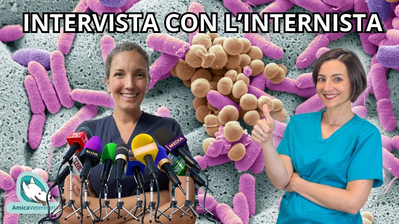 Diarrea cronica nel cane: il trapianto fecale