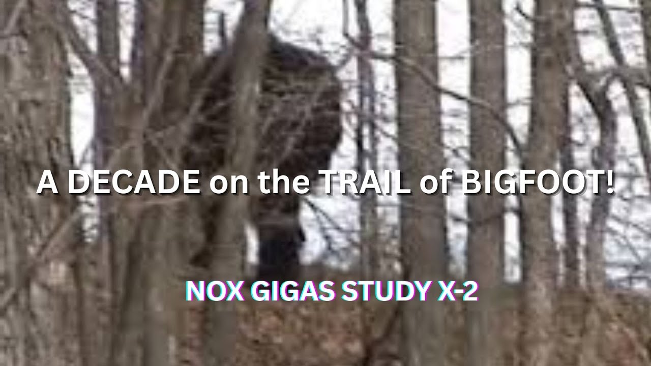 A DECADE on the Trail of BIGFOOT! NOX GIGAS STUDY X-2/ Richard Soule