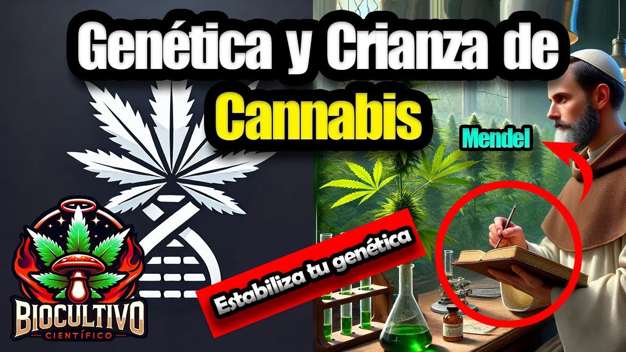 Gen&eacute;tica y Crianza de Cannabis