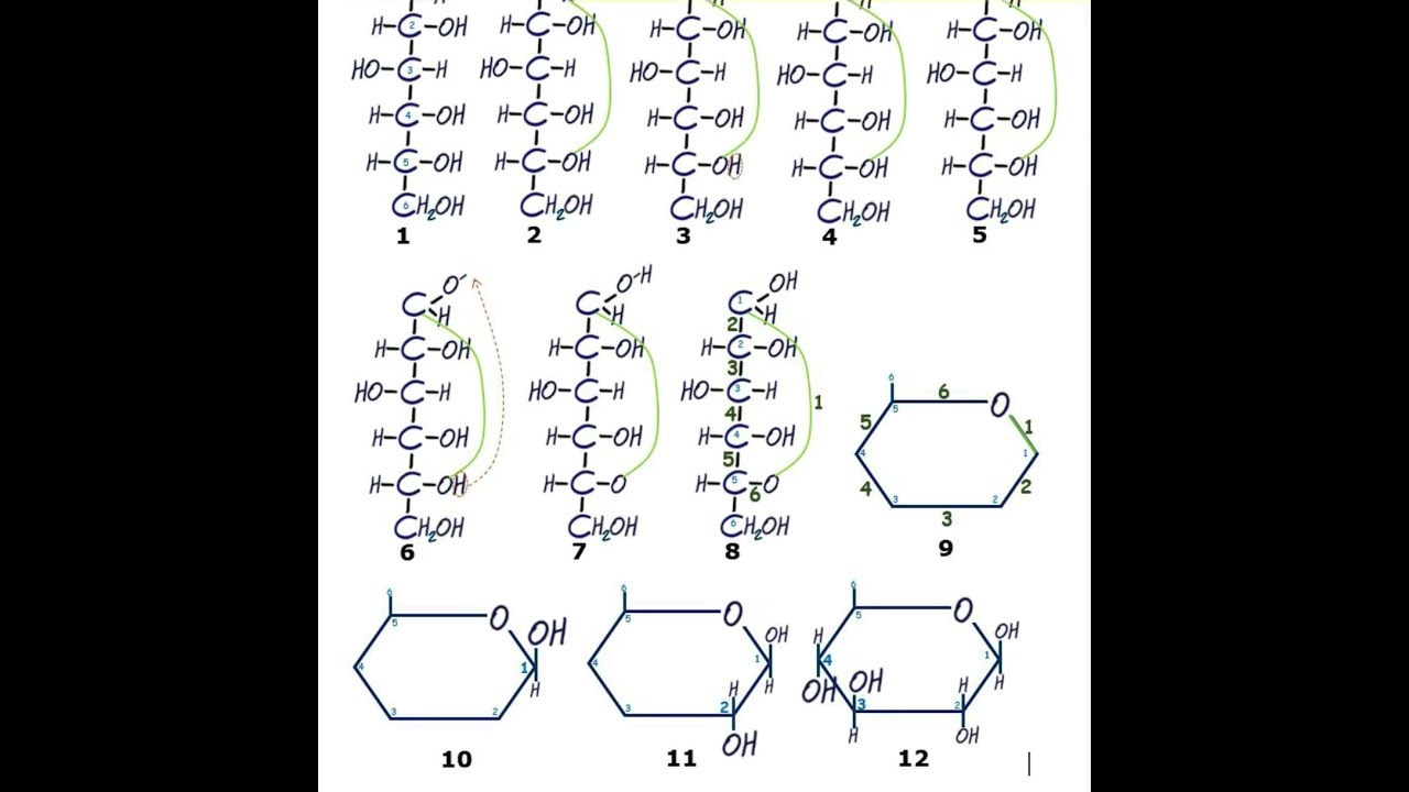 Ciclaci&oacute;n de monosac&aacute;ridos - Ejemplo pr&aacute;ctico de ciclaci&oacute;n de la glucosa