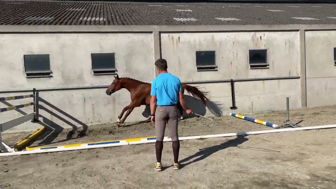 Tyfoon:ERMITAGE KALONE x OBOURG