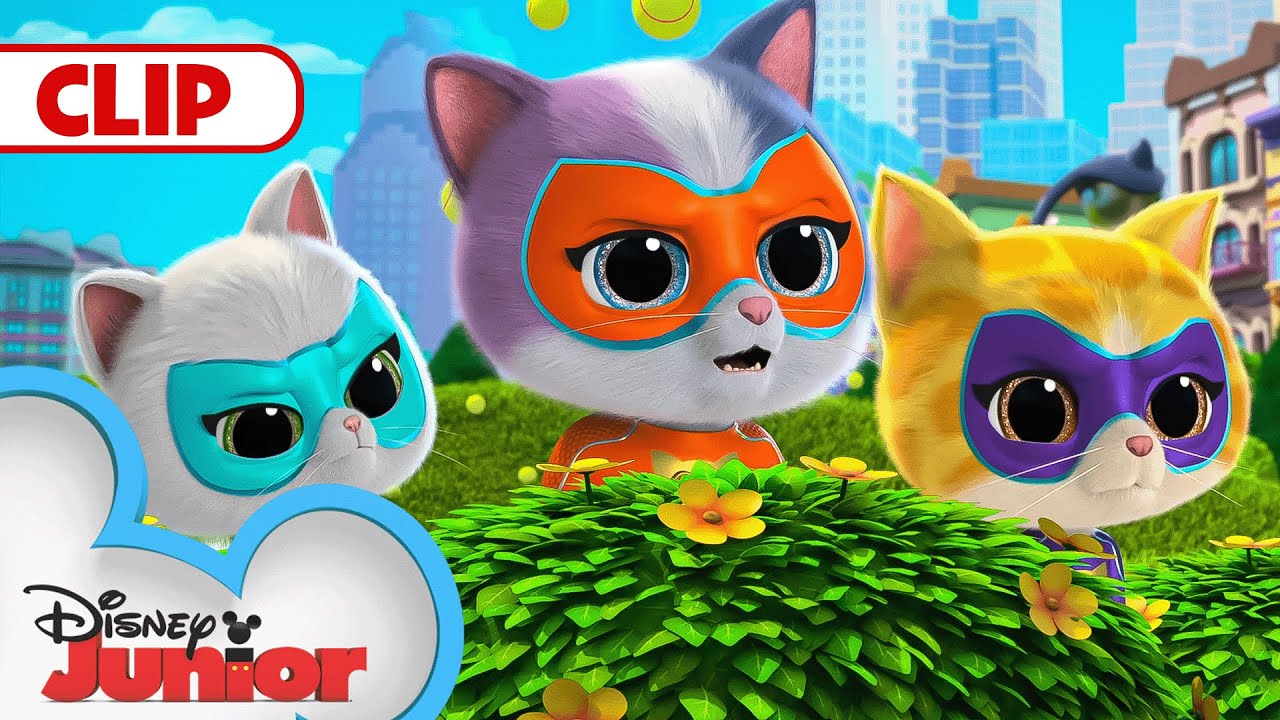 Have a Ball 🎾 | SuperKitties | @disneyjr