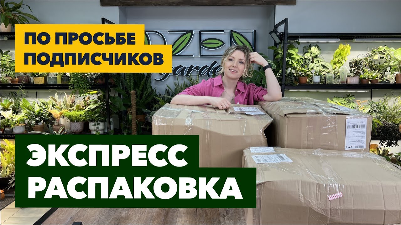 Внеплановая экспресс-распаковка комнатных растений