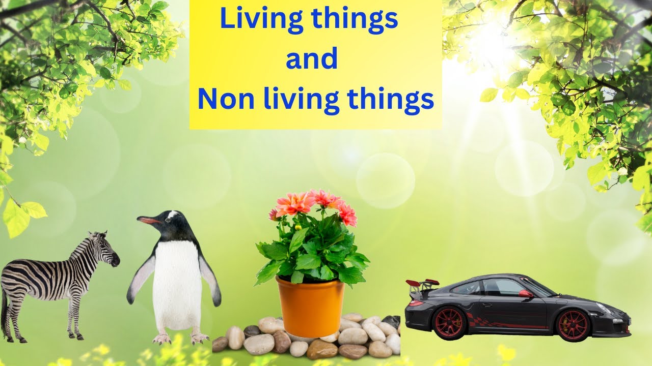 Science Learning : Living Things And  Non Living Things !!!