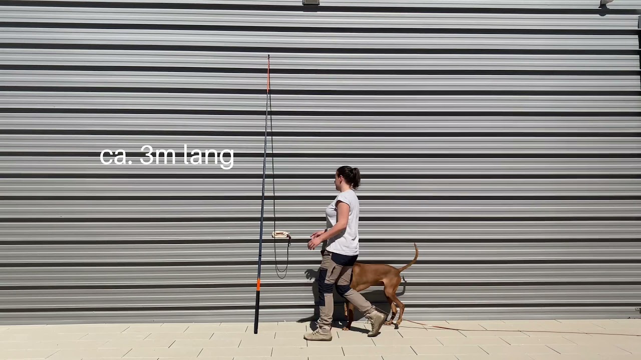 ERSATZJAGD - ALS GEMEINSAMES ABENTEUER 🐕🎣